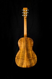 161201 PFI Guitar4