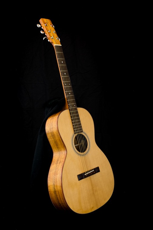 161201 PFI Guitar5