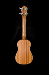 161201 PFI Guitar8