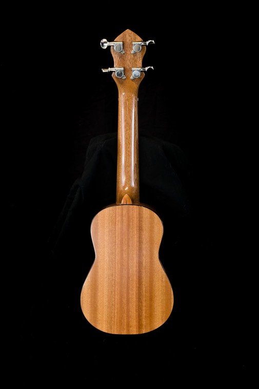 161201 PFI Guitar8