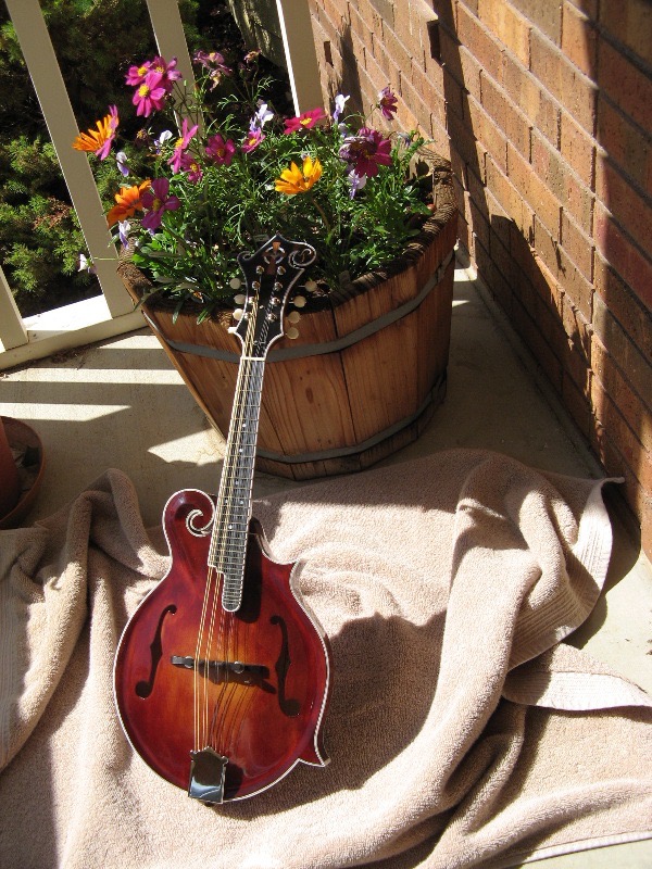 M-Mando26