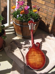 M-Mando28