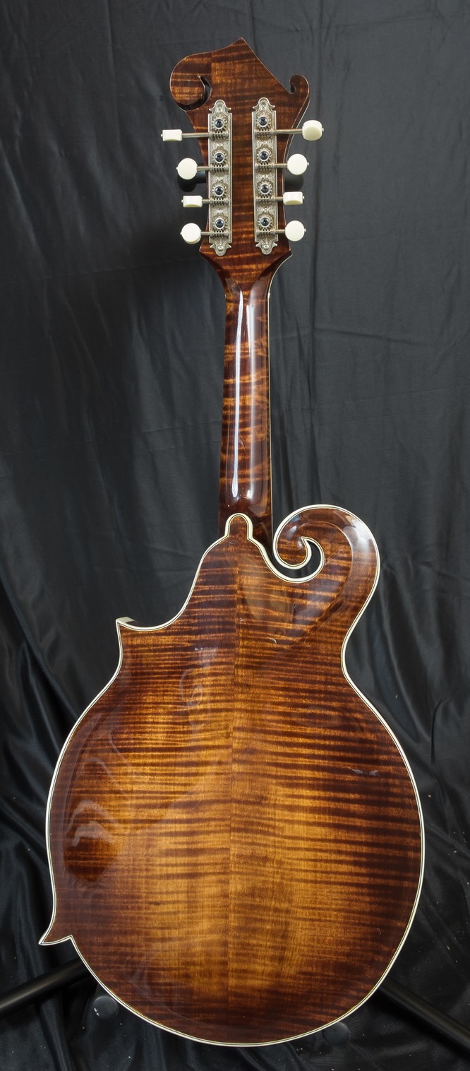 Mandola back