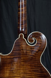 Mandola volute