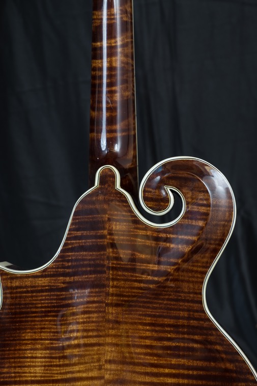 Mandola volute