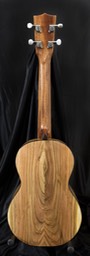Tenor pistachio back