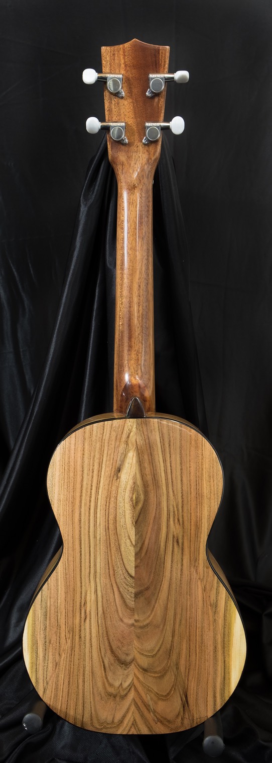 Tenor pistachio back