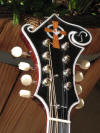 mandolin tuners